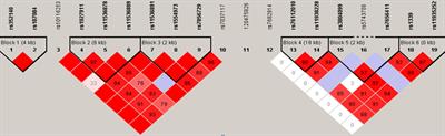 The Association of TLR2, TLR3, and TLR9 Gene Polymorphisms With Susceptibility to Talaromycosis Among Han Chinese AIDS Patients in Guangdong